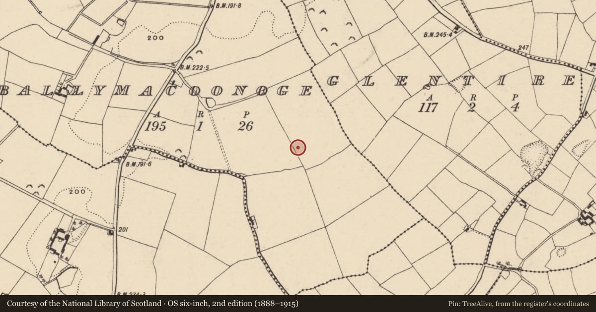 Ordnance Survey six-inch map, 2nd edition (1888–1915) covering the location of Ring-ditch, Ballymacoonoge, County Wexford, with a pin at the register's coordinates