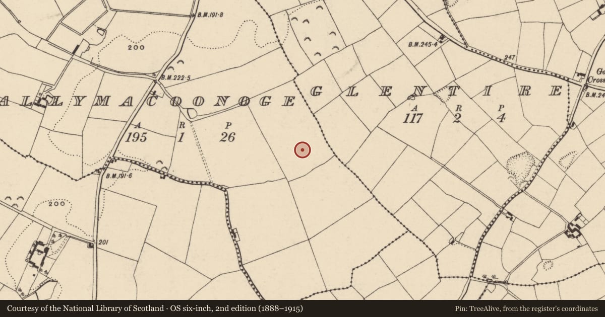 Ordnance Survey six-inch map, 2nd edition (1888–1915) covering the location of Ring-ditch, Ballymacoonoge, County Wexford, with a pin at the register's coordinates