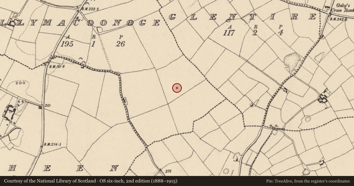 Ordnance Survey six-inch map, 2nd edition (1888–1915) covering the location of Ring-ditch, Ballymacoonoge, County Wexford, with a pin at the register's coordinates
