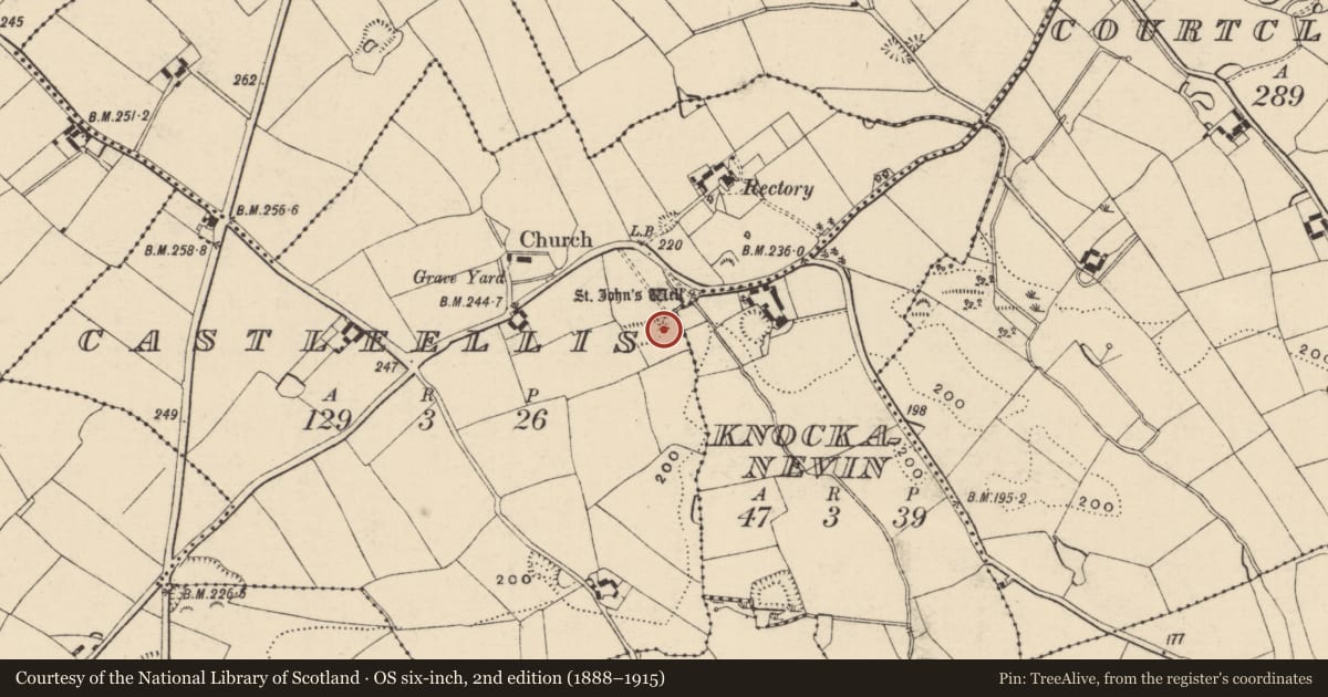 Ordnance Survey six-inch map, 2nd edition (1888–1915) covering the location of Mound, Castle Ellis, County Wexford, with a pin at the register's coordinates