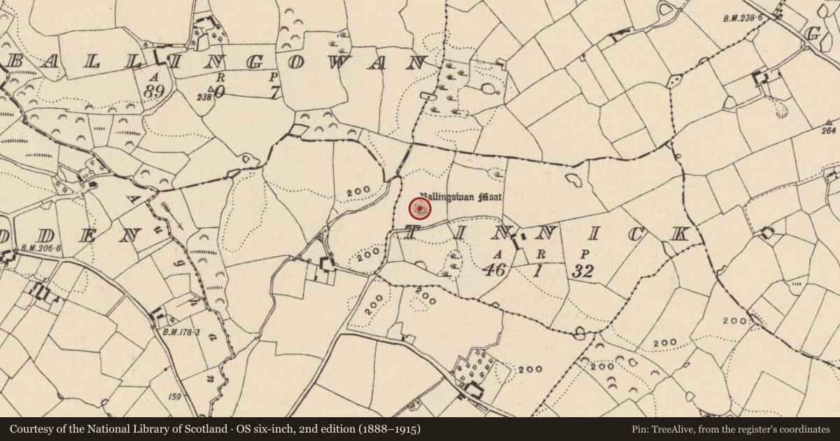 Ordnance Survey six-inch map, 2nd edition (1888–1915) covering the location of Castle - motte, Tinnick, County Wexford, with a pin at the register's coordinates