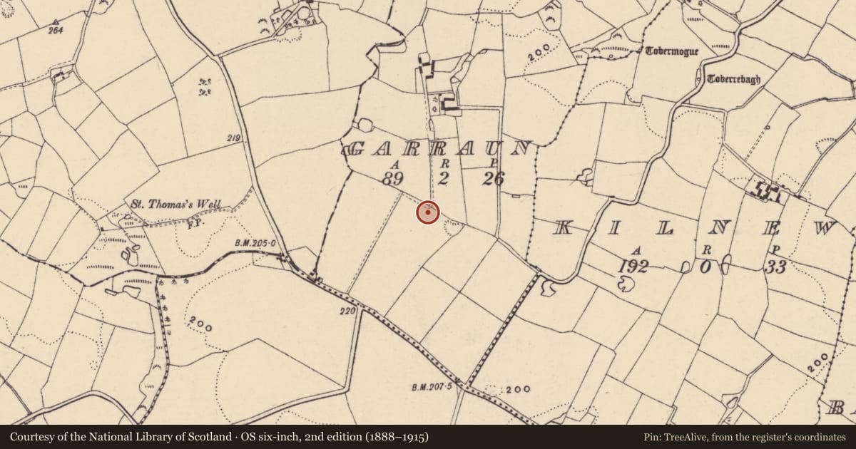 Ordnance Survey six-inch map, 2nd edition (1888–1915) covering the location of Ringfort - unclassified, Garraun, County Wexford, with a pin at the register's coordinates