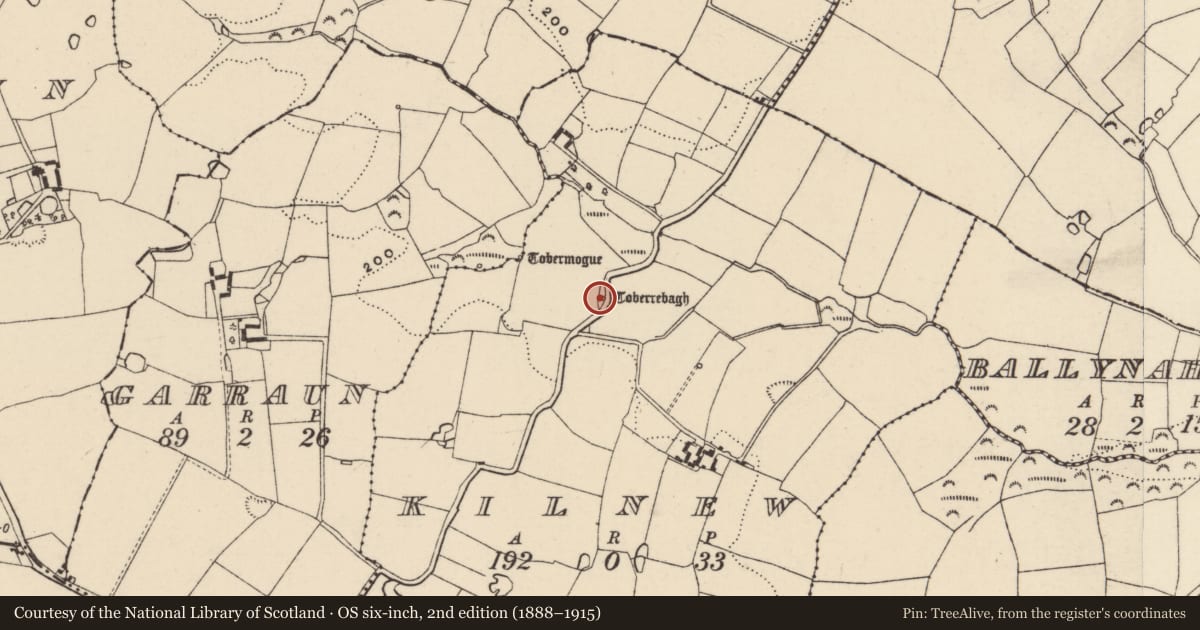 Ordnance Survey six-inch map, 2nd edition (1888–1915) covering the location of Church, Kilnew (Ballyvaldon par.), County Wexford, with a pin at the register's coordinates