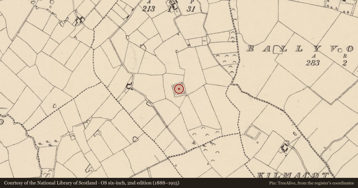 Ordnance Survey six-inch map, 2nd edition (1888–1915) covering the location of Moated site, Ballyvoodrane, County Wexford, with a pin at the register's coordinates