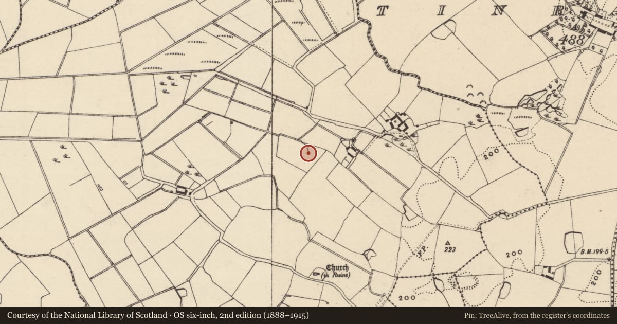 Ordnance Survey six-inch map, 2nd edition (1888–1915) covering the location of Ritual site - holy well, Killisk, County Wexford, with a pin at the register's coordinates