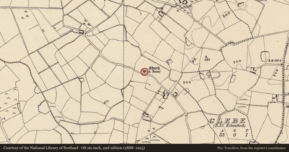 Ordnance Survey six-inch map, 2nd edition (1888–1915) covering the location of Graveyard, Killisk, County Wexford, with a pin at the register's coordinates