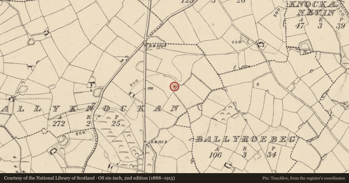 Ordnance Survey six-inch map, 2nd edition (1888–1915) covering the location of Enclosure, Ballyknockan, County Wexford, with a pin at the register's coordinates