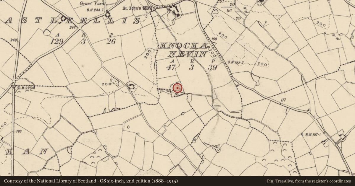 Ordnance Survey six-inch map, 2nd edition (1888–1915) covering the location of Moated site, Knockanevin, County Wexford, with a pin at the register's coordinates