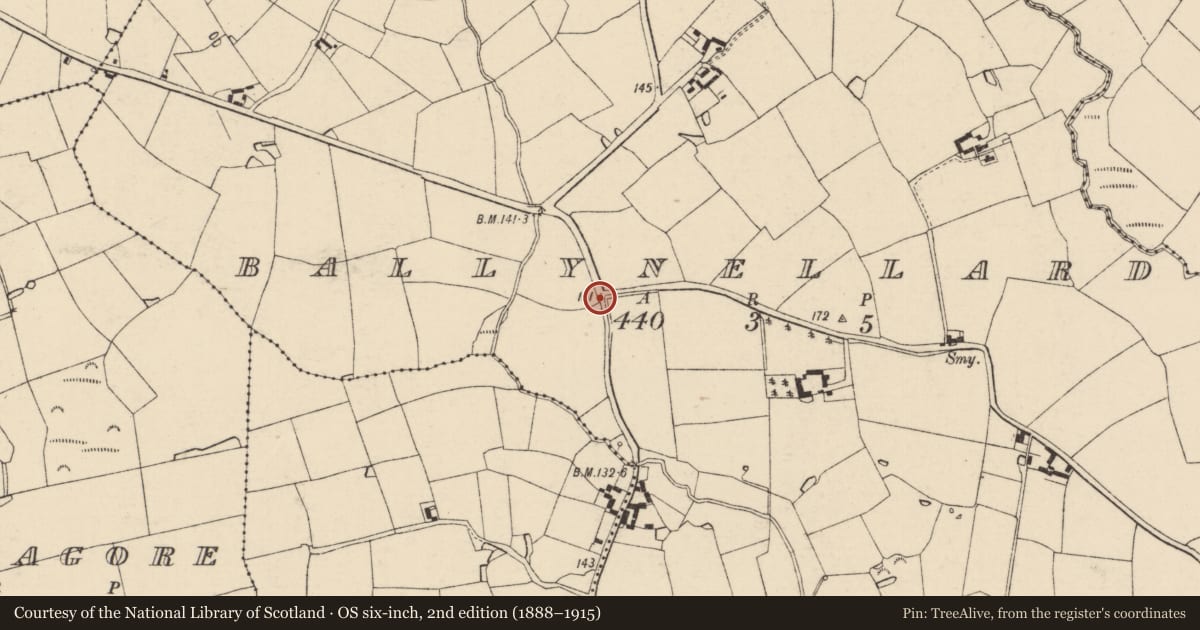 Ordnance Survey six-inch map, 2nd edition (1888–1915) covering the location of Bullaun stone, Ballynellard, County Wexford, with a pin at the register's coordinates