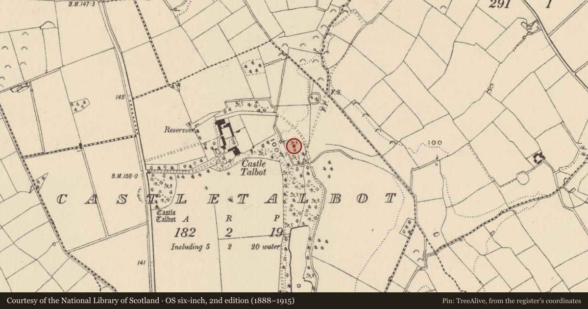 Ordnance Survey six-inch map, 2nd edition (1888–1915) covering the location of Enclosure, Castletalbot, County Wexford, with a pin at the register's coordinates