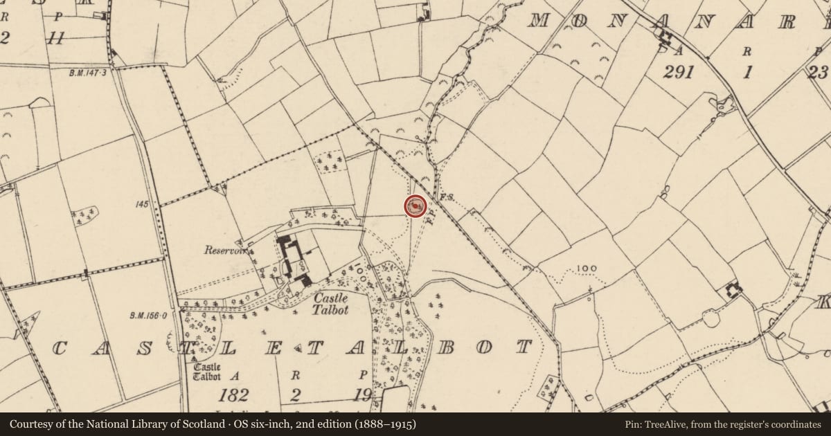 Ordnance Survey six-inch map, 2nd edition (1888–1915) covering the location of Enclosure, Castletalbot, County Wexford, with a pin at the register's coordinates