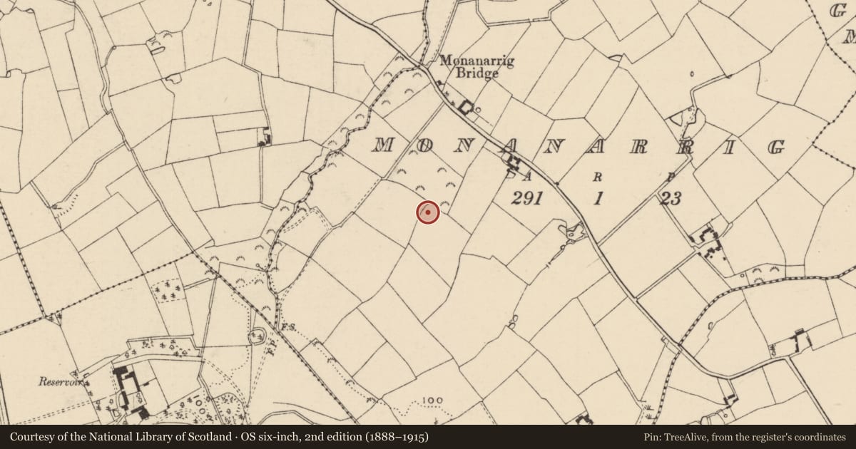 Ordnance Survey six-inch map, 2nd edition (1888–1915) covering the location of Ringfort - unclassified, Monanarrig, County Wexford, with a pin at the register's coordinates