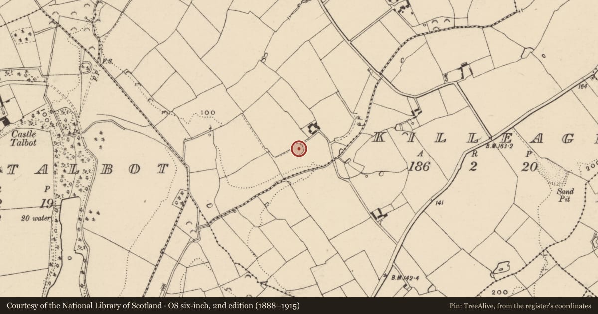 Ordnance Survey six-inch map, 2nd edition (1888–1915) covering the location of Ringfort - rath, Monanarrig, County Wexford, with a pin at the register's coordinates