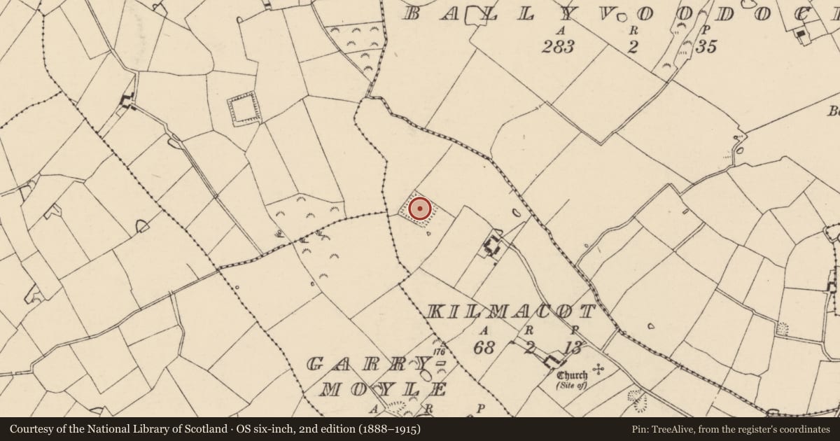 Ordnance Survey six-inch map, 2nd edition (1888–1915) covering the location of Moated site, Kilmacot, County Wexford, with a pin at the register's coordinates