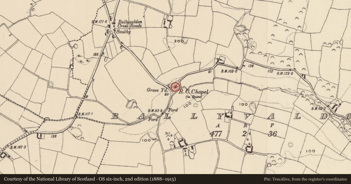 Ordnance Survey six-inch map, 2nd edition (1888–1915) covering the location of Church, Ballyvaldon, County Wexford, with a pin at the register's coordinates