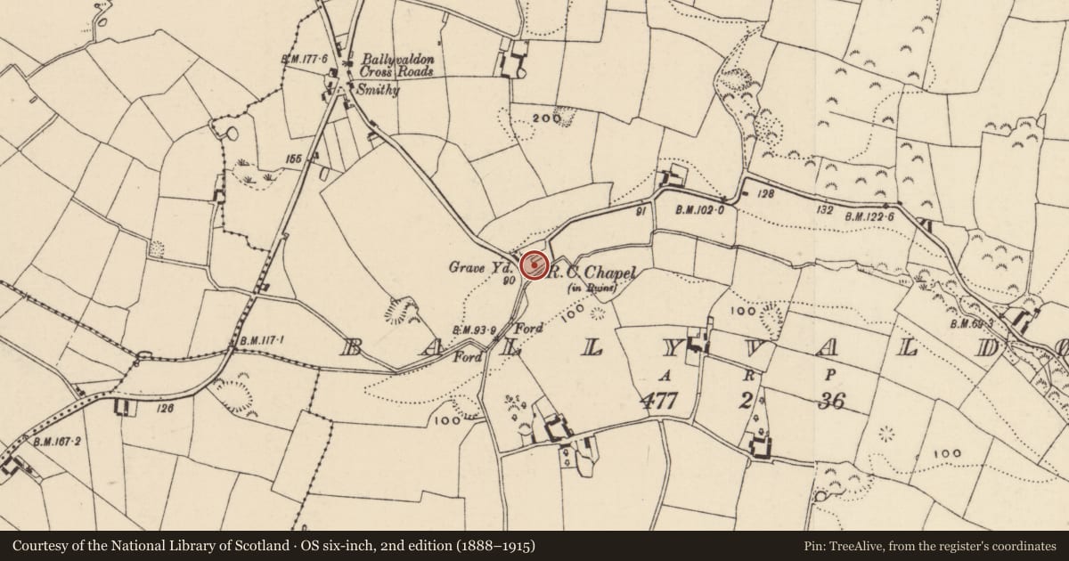 Ordnance Survey six-inch map, 2nd edition (1888–1915) covering the location of Graveyard, Ballyvaldon, County Wexford, with a pin at the register's coordinates