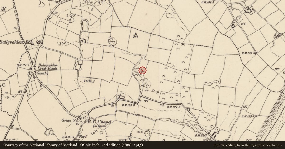 Ordnance Survey six-inch map, 2nd edition (1888–1915) covering the location of Mound, Ballyvaldon, County Wexford, with a pin at the register's coordinates