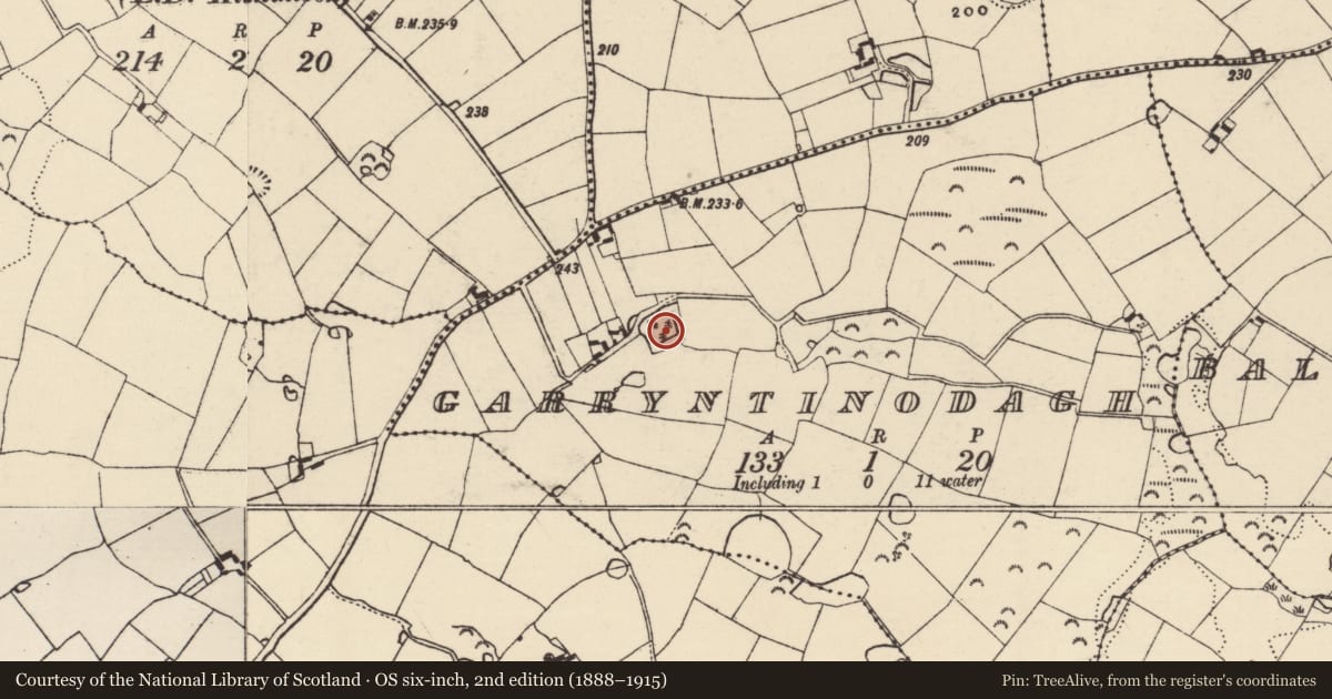 Ordnance Survey six-inch map, 2nd edition (1888–1915) covering the location of Moated site, Garryntinodagh, County Wexford, with a pin at the register's coordinates