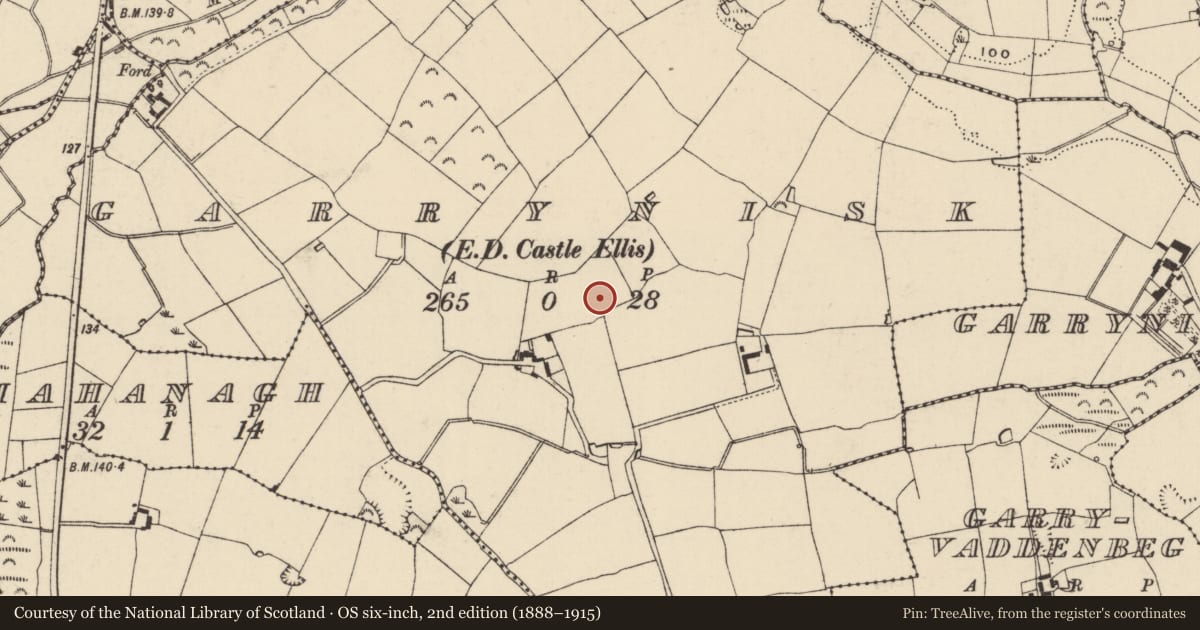 Ordnance Survey six-inch map, 2nd edition (1888–1915) covering the location of Moated site, Garrynisk, County Wexford, with a pin at the register's coordinates