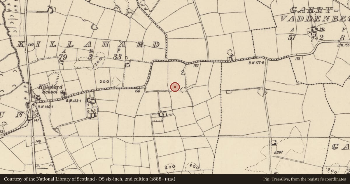 Ordnance Survey six-inch map, 2nd edition (1888–1915) covering the location of Burial ground, Ballyroe, County Wexford, with a pin at the register's coordinates