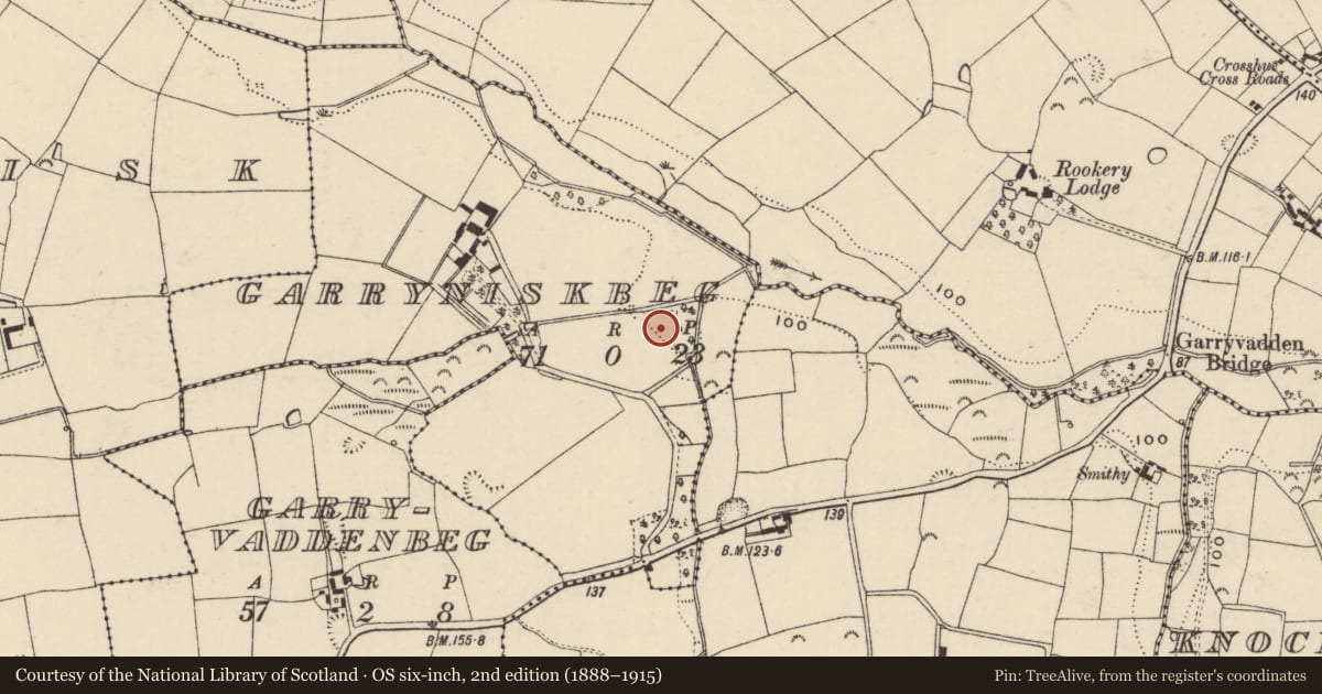 Ordnance Survey six-inch map, 2nd edition (1888–1915) covering the location of Moated site, Garryniskbeg, County Wexford, with a pin at the register's coordinates