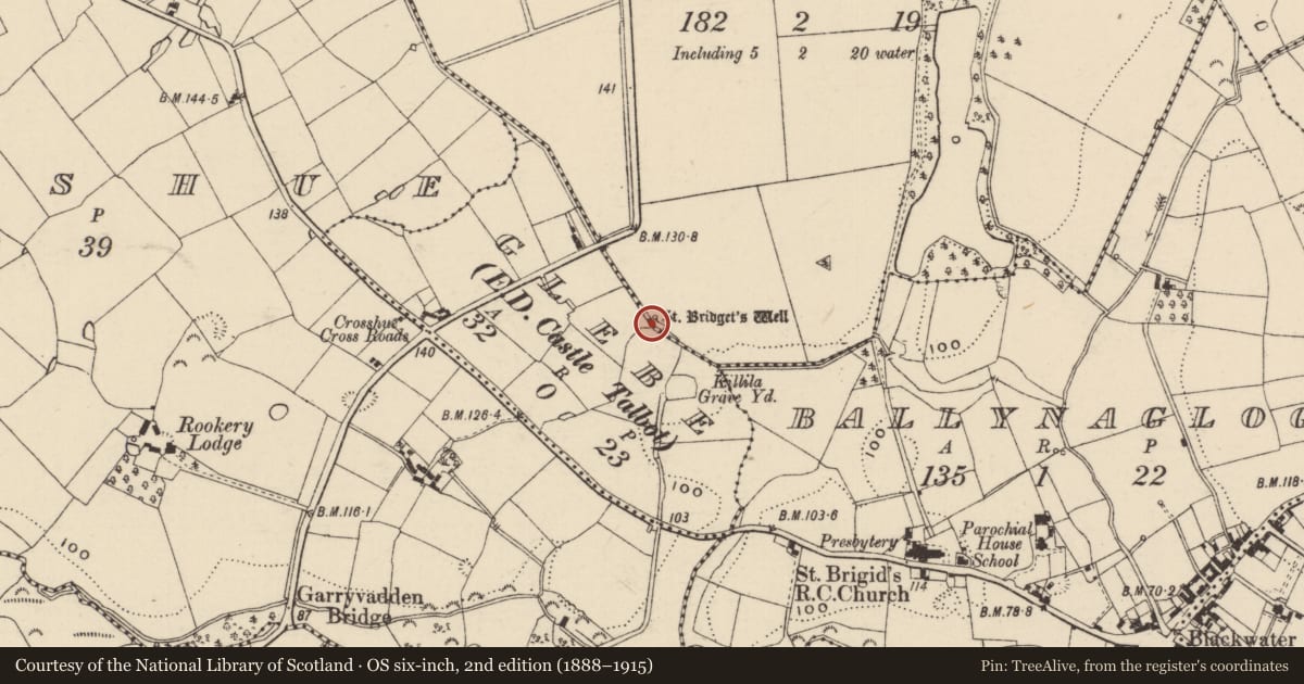 Ordnance Survey six-inch map, 2nd edition (1888–1915) covering the location of Ritual site - holy well, Castletalbot, County Wexford, with a pin at the register's coordinates