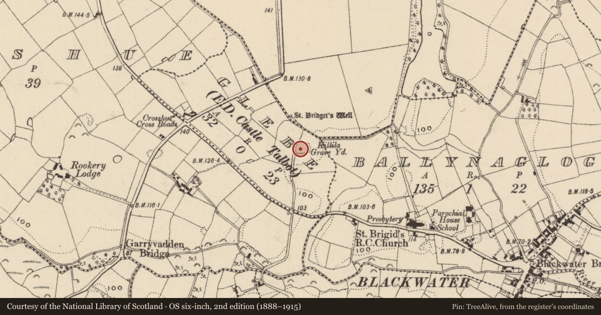 Ordnance Survey six-inch map, 2nd edition (1888–1915) covering the location of Graveyard, Glebe (KILLILA), County Wexford, with a pin at the register's coordinates