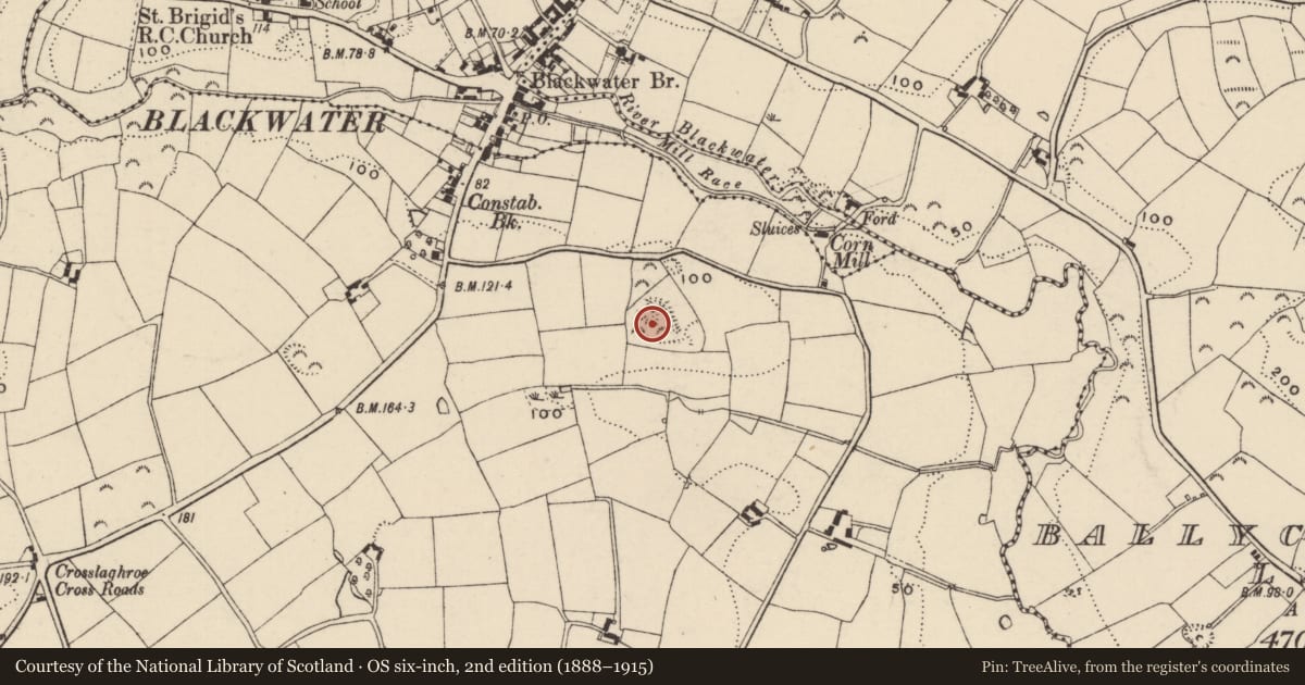 Ordnance Survey six-inch map, 2nd edition (1888–1915) covering the location of Enclosure, Inch, County Wexford, with a pin at the register's coordinates
