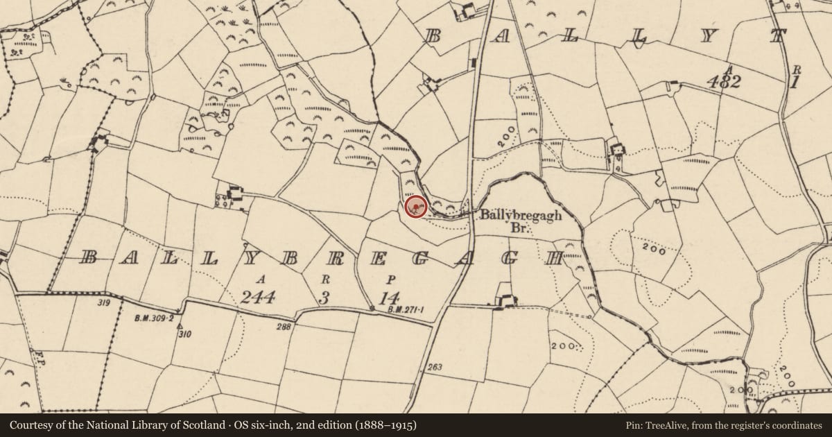 Ordnance Survey six-inch map, 2nd edition (1888–1915) covering the location of Water mill - unclassified, Ballybregagh, County Wexford, with a pin at the register's coordinates