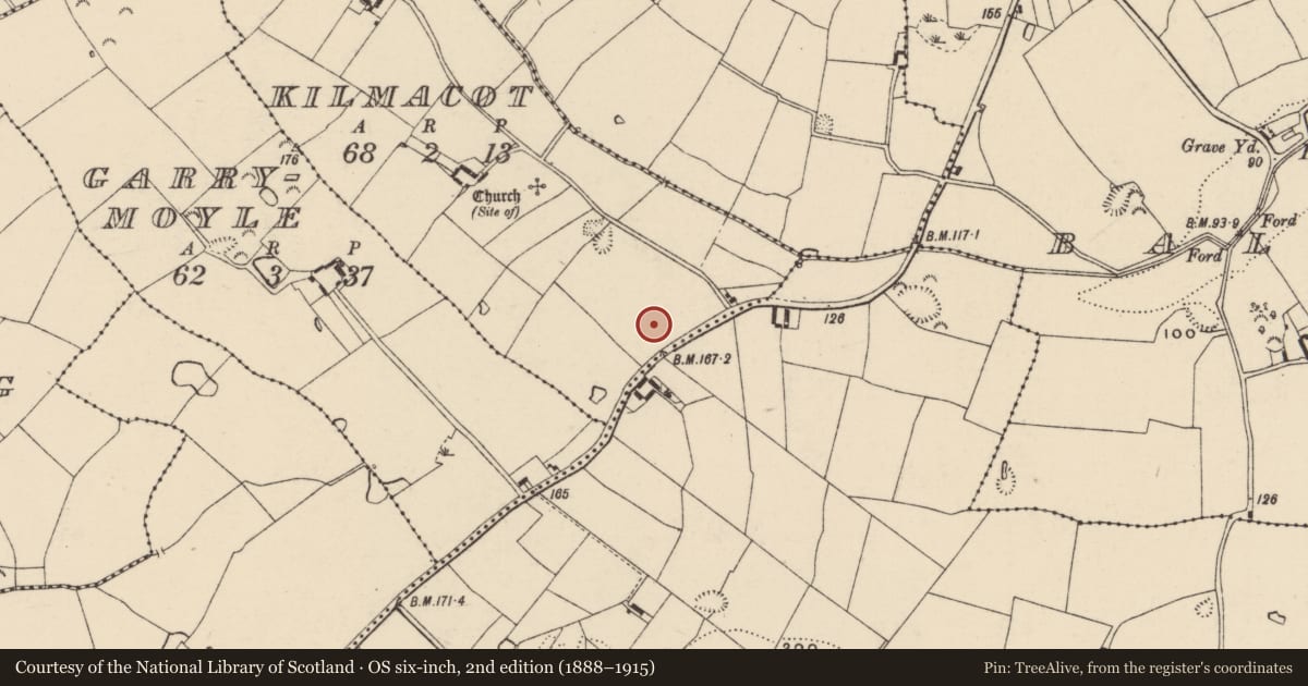 Ordnance Survey six-inch map, 2nd edition (1888–1915) covering the location of Cist, Kilmacot, County Wexford, with a pin at the register's coordinates