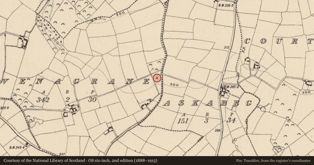 Ordnance Survey six-inch map, 2nd edition (1888–1915) covering the location of Burnt mound, Slievenagrane, County Wexford, with a pin at the register's coordinates