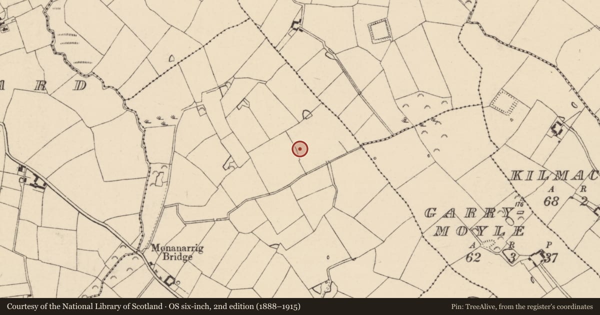 Ordnance Survey six-inch map, 2nd edition (1888–1915) covering the location of Ring-ditch, Monanarrig, County Wexford, with a pin at the register's coordinates