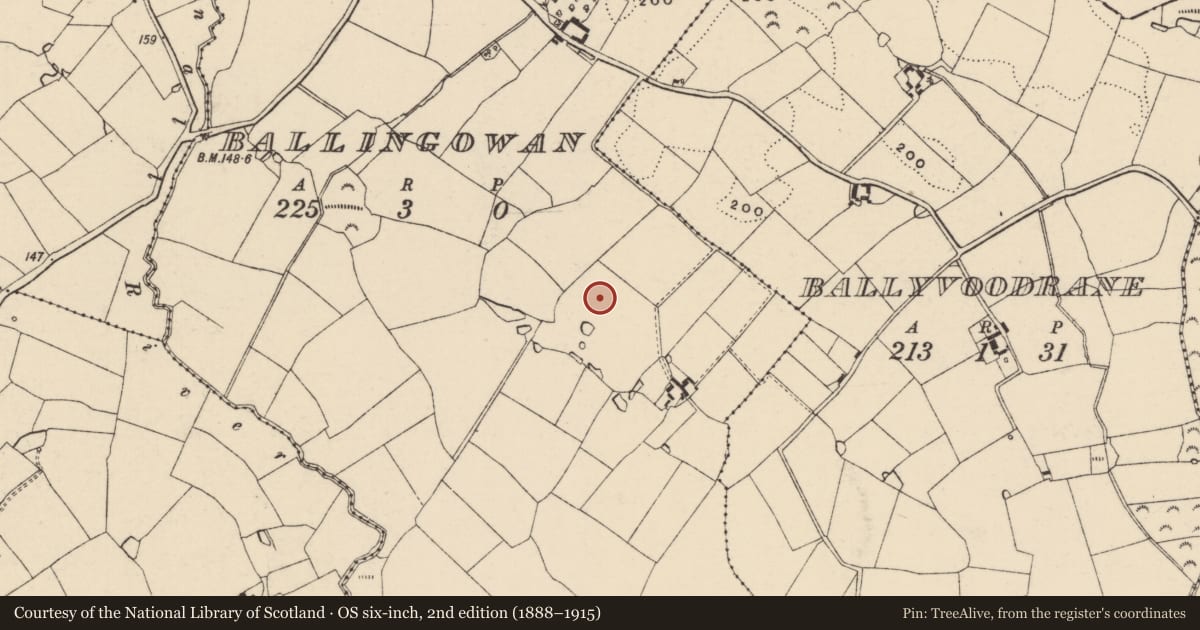 Ordnance Survey six-inch map, 2nd edition (1888–1915) covering the location of Ringfort - rath, Ballingowan, County Wexford, with a pin at the register's coordinates