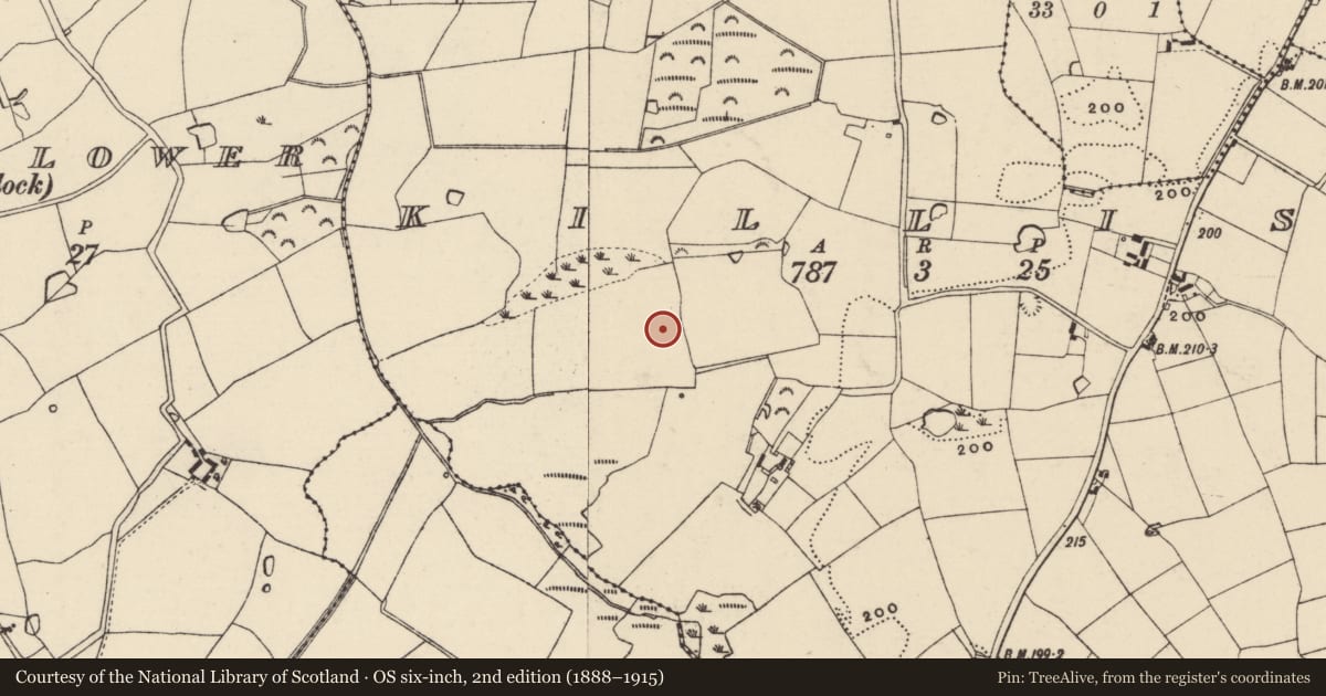 Ordnance Survey six-inch map, 2nd edition (1888–1915) covering the location of Ringfort - rath, Killisk, County Wexford, with a pin at the register's coordinates