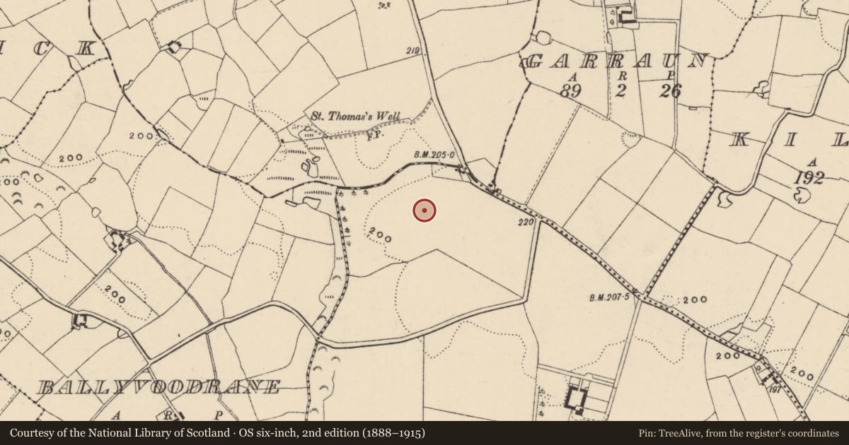 Ordnance Survey six-inch map, 2nd edition (1888–1915) covering the location of Ring-ditch, Ballyvoodock, County Wexford, with a pin at the register's coordinates