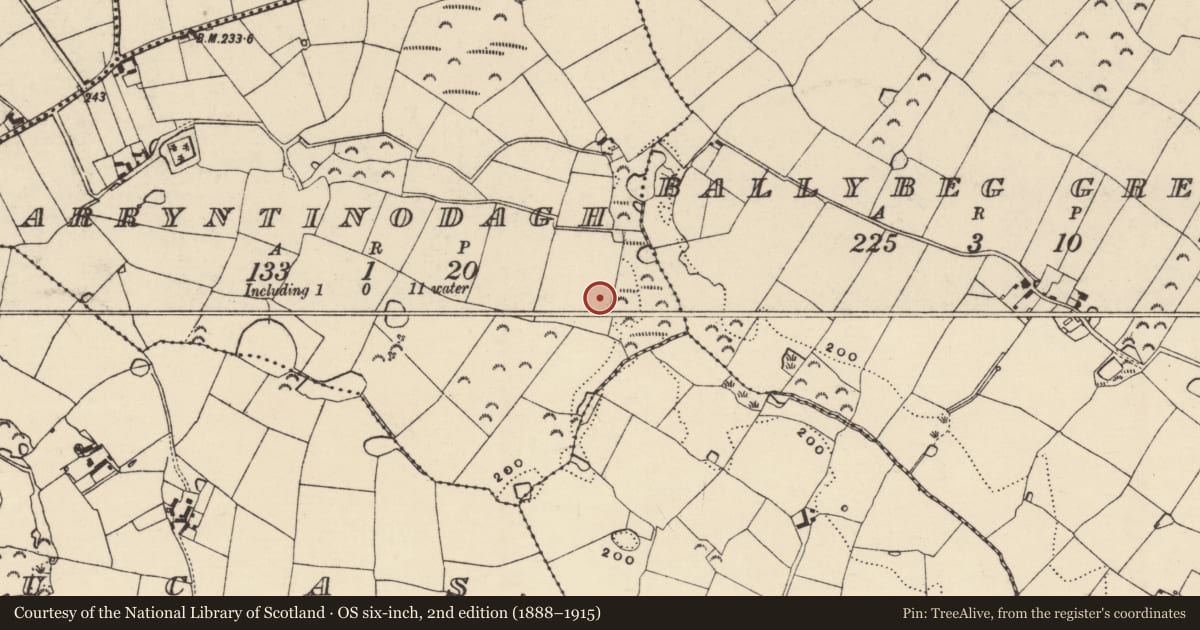 Ordnance Survey six-inch map, 2nd edition (1888–1915) covering the location of Ringfort - rath, Garryntinodagh, County Wexford, with a pin at the register's coordinates