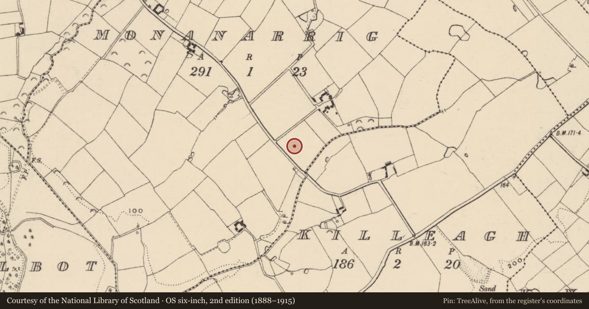 Ordnance Survey six-inch map, 2nd edition (1888–1915) covering the location of Ring-ditch, Monanarrig, County Wexford, with a pin at the register's coordinates