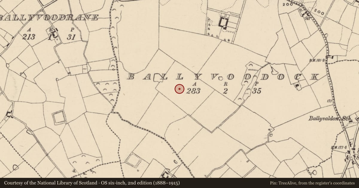 Ordnance Survey six-inch map, 2nd edition (1888–1915) covering the location of Moated site, Ballyvoodock, County Wexford, with a pin at the register's coordinates