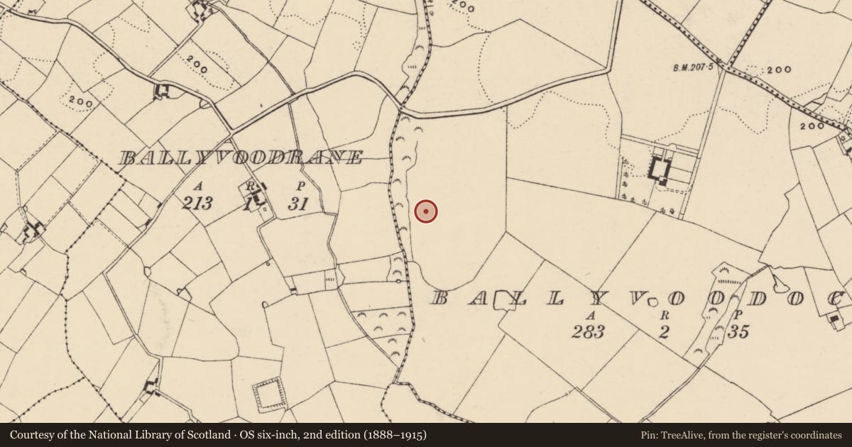Ordnance Survey six-inch map, 2nd edition (1888–1915) covering the location of Ringfort - rath, Ballyvoodock, County Wexford, with a pin at the register's coordinates