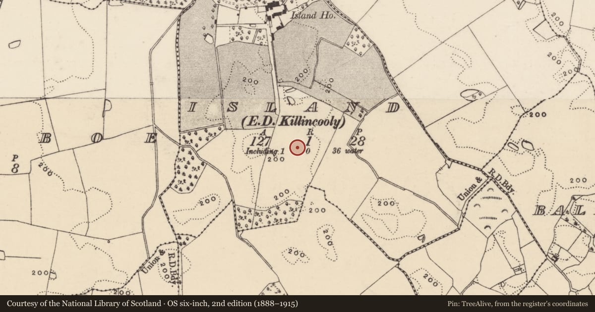 Ordnance Survey six-inch map, 2nd edition (1888–1915) covering the location of Ringfort - rath, Island, County Wexford, with a pin at the register's coordinates