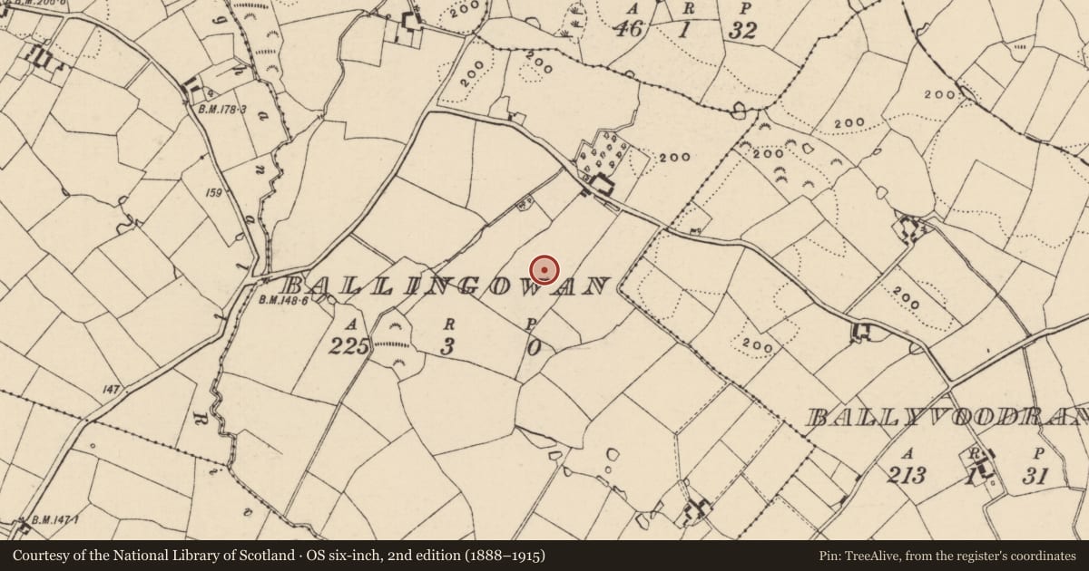 Ordnance Survey six-inch map, 2nd edition (1888–1915) covering the location of Enclosure, Ballingowan, County Wexford, with a pin at the register's coordinates
