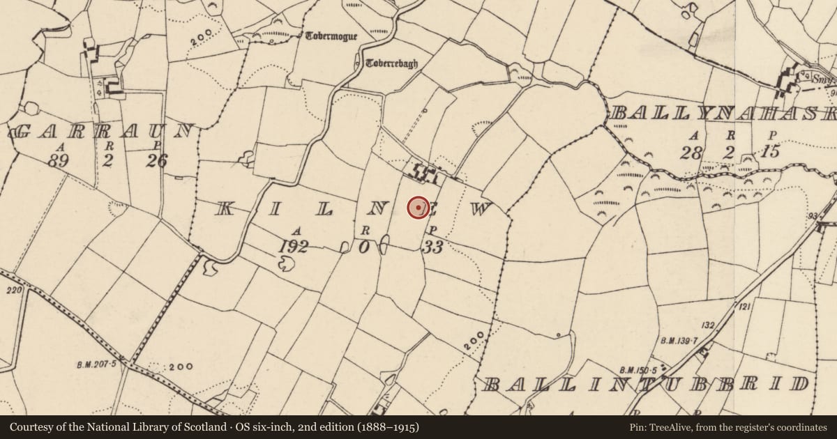 Ordnance Survey six-inch map, 2nd edition (1888–1915) covering the location of Enclosure - large enclosure, Kilnew (Ballyvaldon par.), County Wexford, with a pin at the register's coordinates