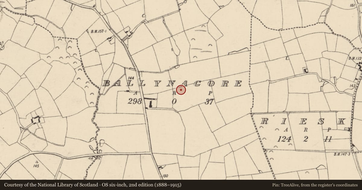 Ordnance Survey six-inch map, 2nd edition (1888–1915) covering the location of Enclosure, Ballynagore, County Wexford, with a pin at the register's coordinates