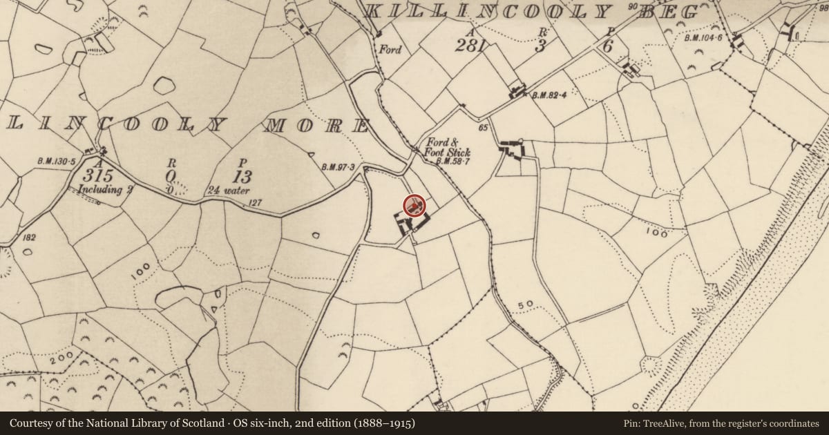 Ordnance Survey six-inch map, 2nd edition (1888–1915) covering the location of Flat cemetery, Killincooly More, County Wexford, with a pin at the register's coordinates