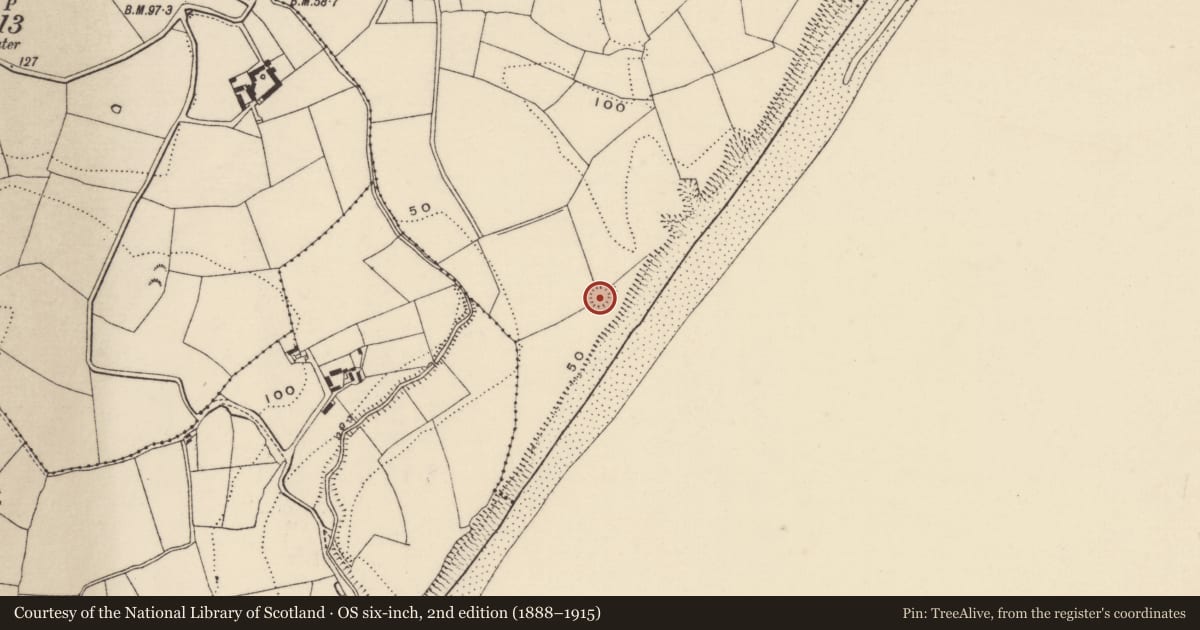 Ordnance Survey six-inch map, 2nd edition (1888–1915) covering the location of Ringfort - rath, Killincooly Beg, County Wexford, with a pin at the register's coordinates