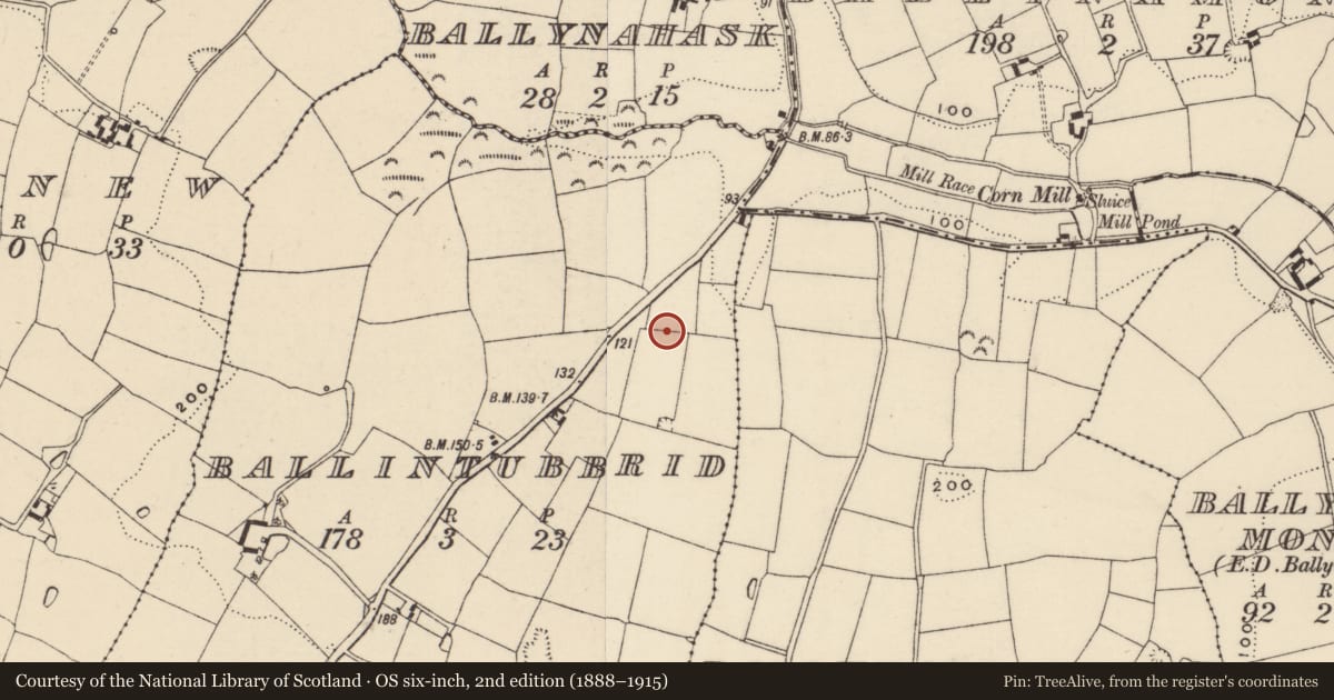 Ordnance Survey six-inch map, 2nd edition (1888–1915) covering the location of Pit-burial, Ballintubbrid, County Wexford, with a pin at the register's coordinates