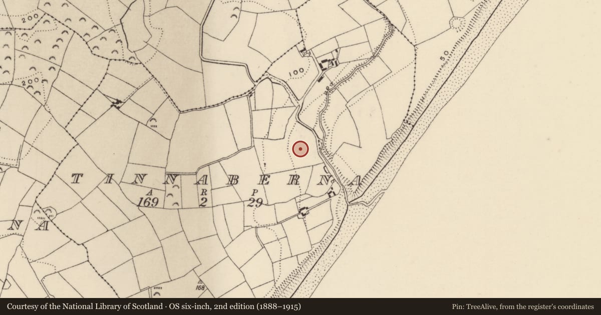 Ordnance Survey six-inch map, 2nd edition (1888–1915) covering the location of Enclosure, Tinnaberna, County Wexford, with a pin at the register's coordinates