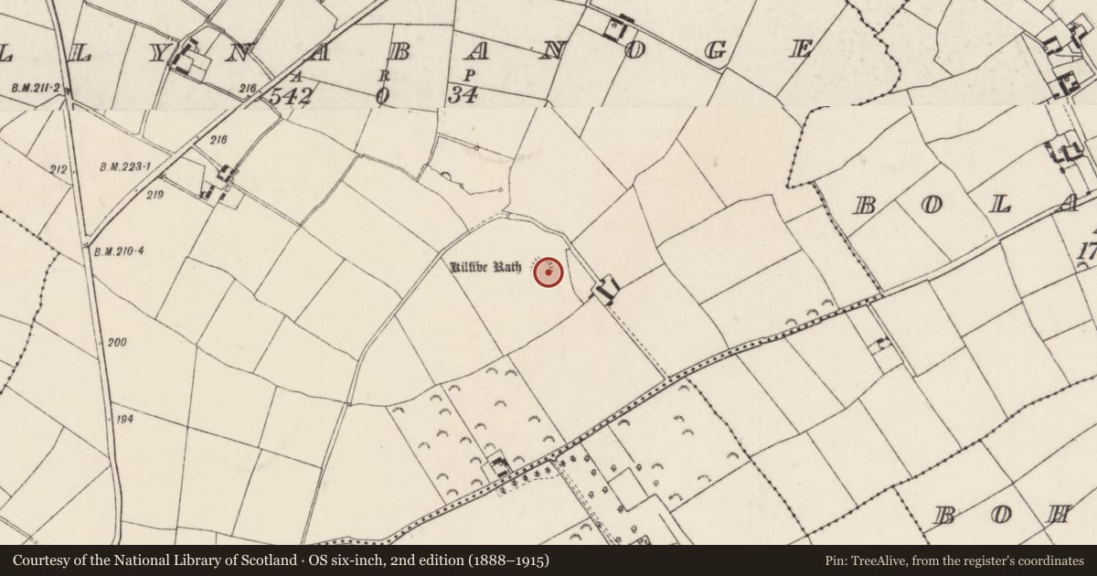Ordnance Survey six-inch map, 2nd edition (1888–1915) covering the location of Ringfort - rath, Ballynabanoge, County Wexford, with a pin at the register's coordinates