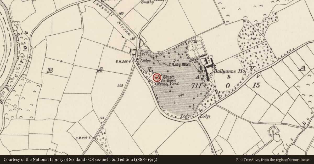 Ordnance Survey six-inch map, 2nd edition (1888–1915) covering the location of Church, Ballyanne, County Wexford, with a pin at the register's coordinates