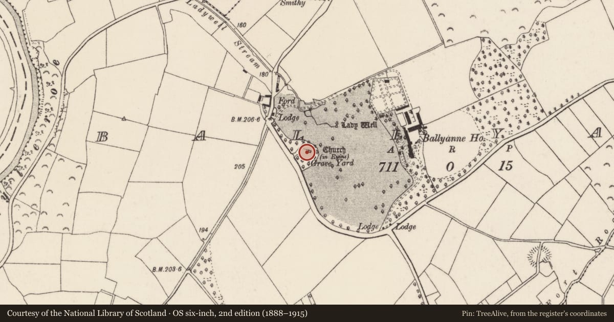 Ordnance Survey six-inch map, 2nd edition (1888–1915) covering the location of Graveyard, Ballyanne, County Wexford, with a pin at the register's coordinates
